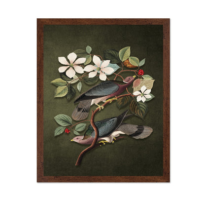 Vintage Pigeons Study