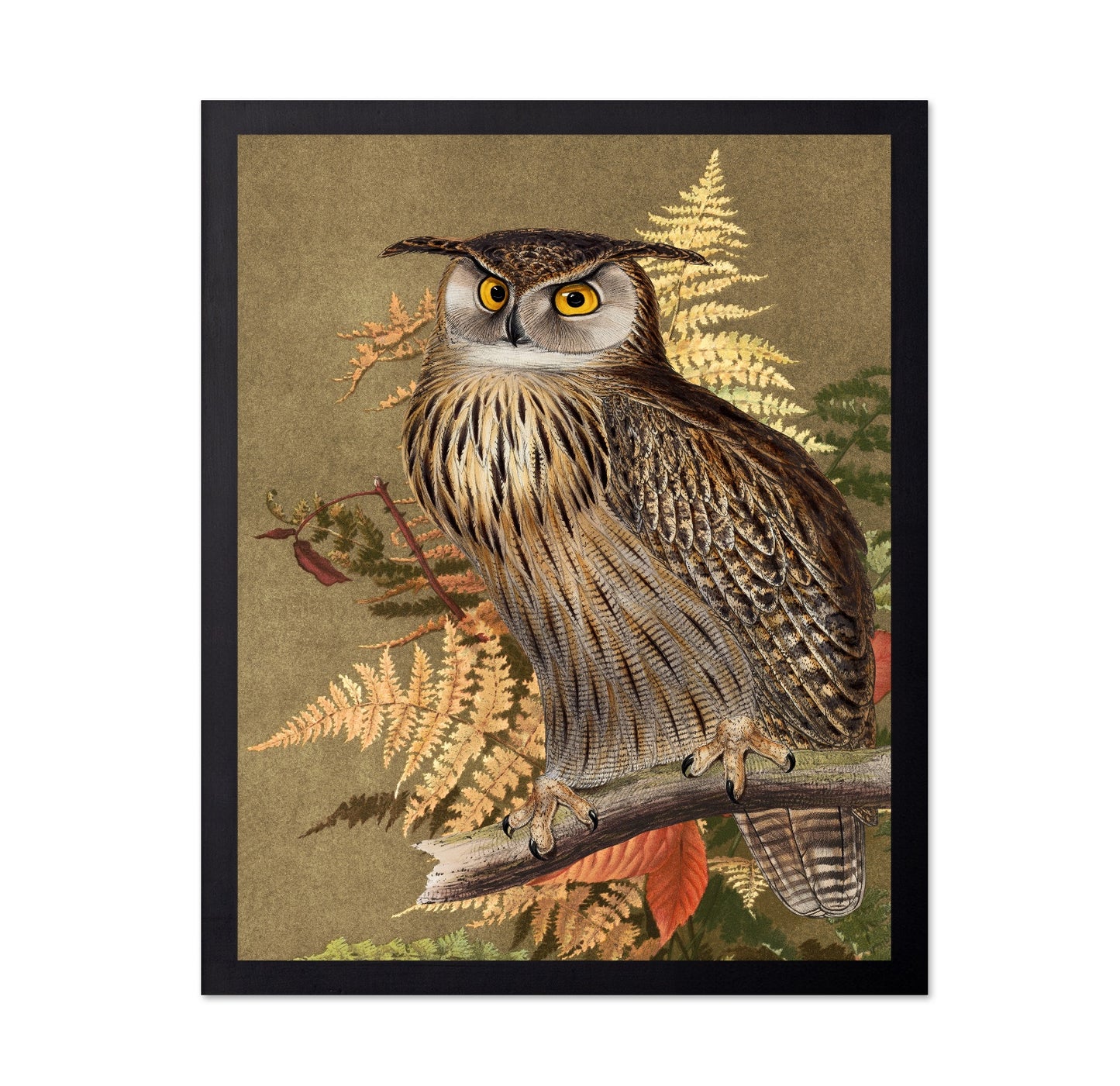 Autumn Owl Portrait