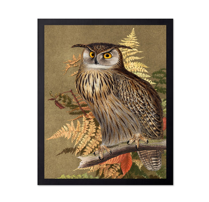 Autumn Owl Portrait