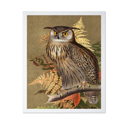 Autumn Owl Portrait