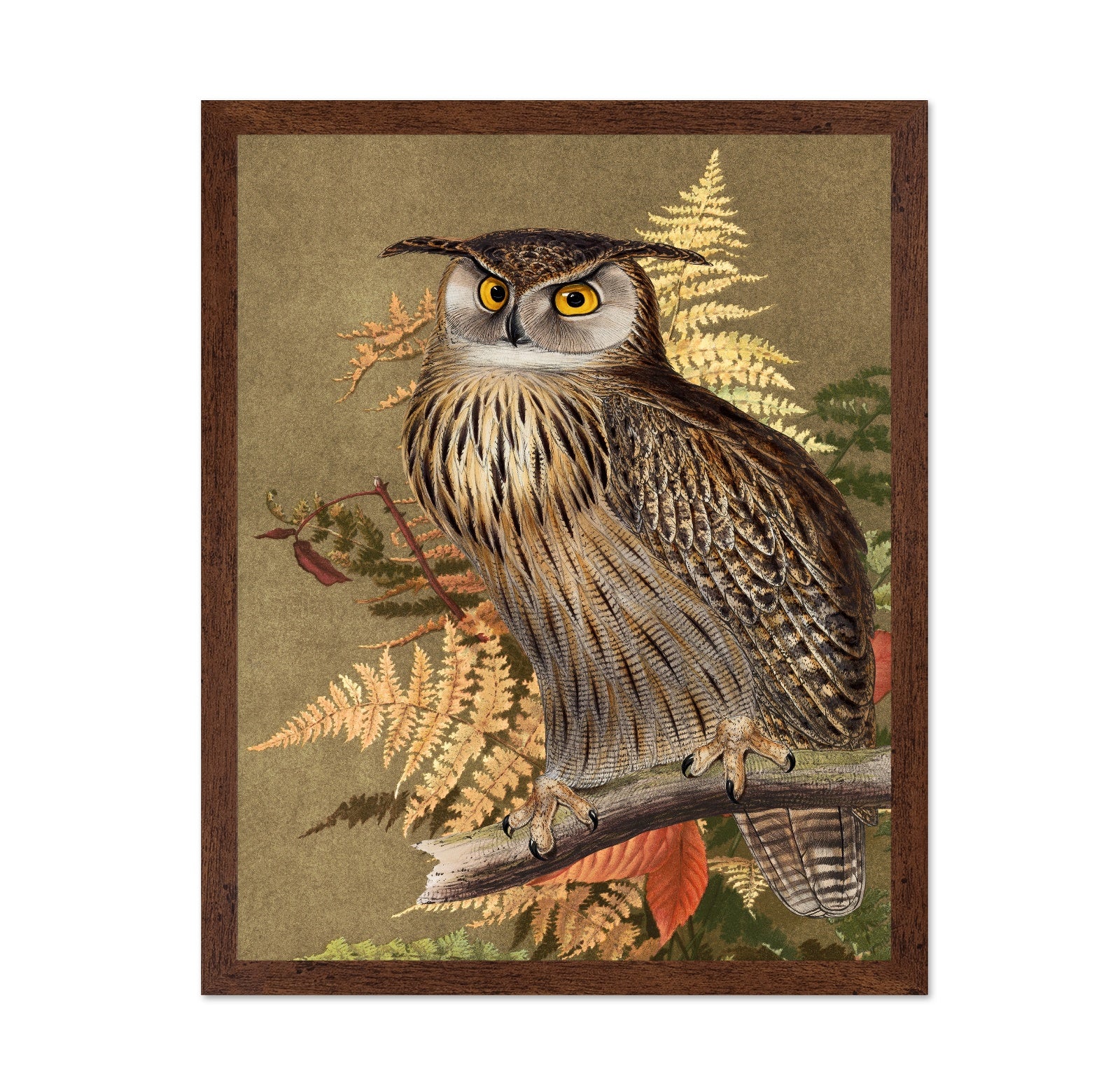 Autumn Owl Portrait