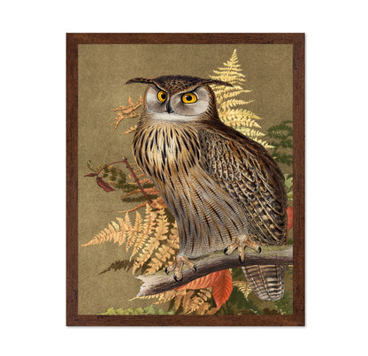 Autumn Owl Portrait