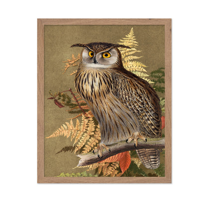 Autumn Owl Portrait