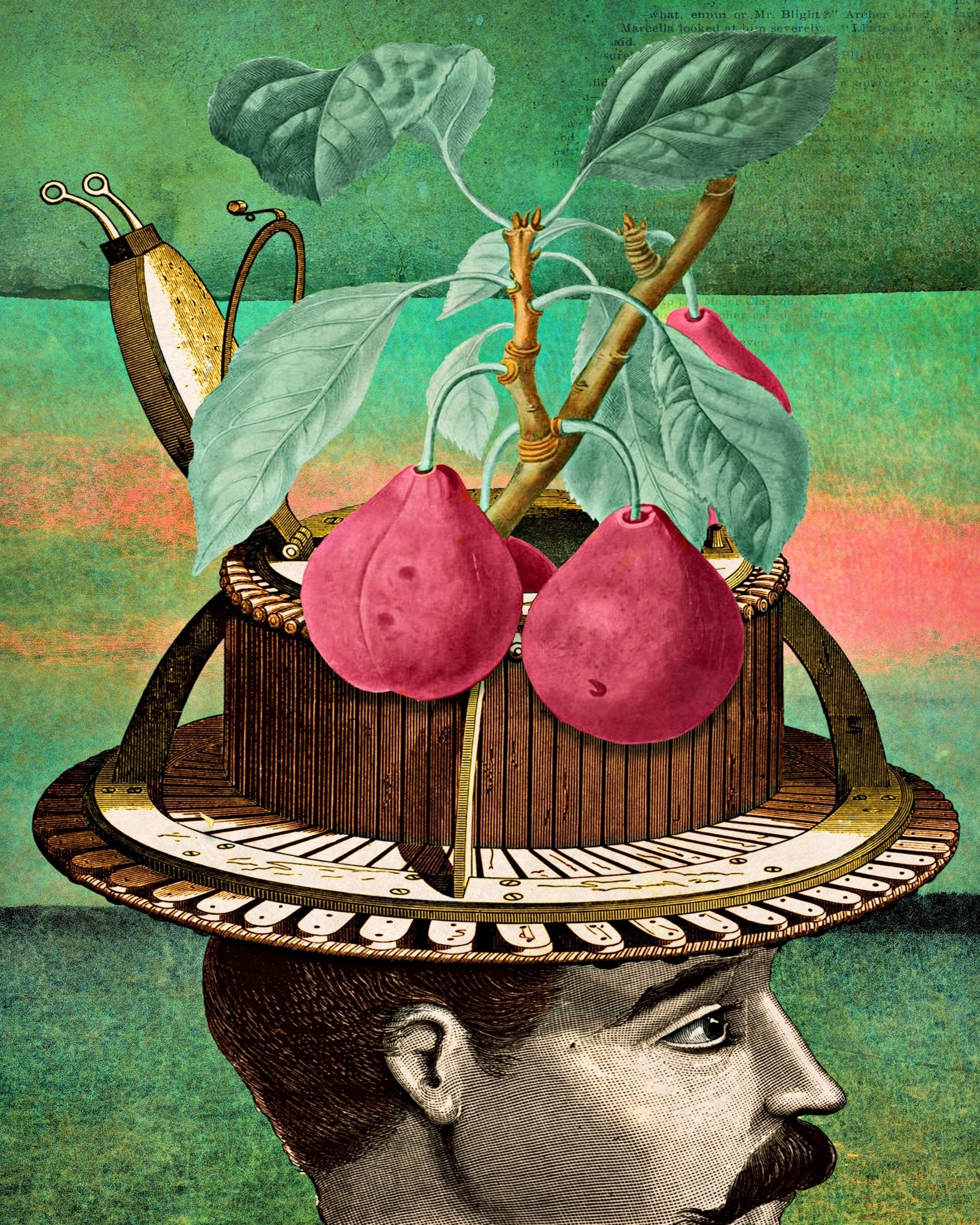 Inventing Fruit Mind
