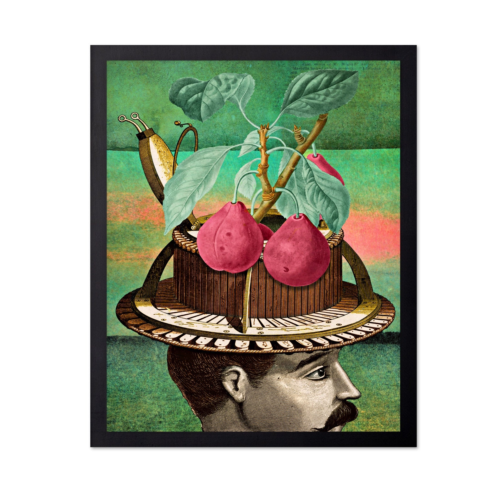 Inventing Fruit Mind