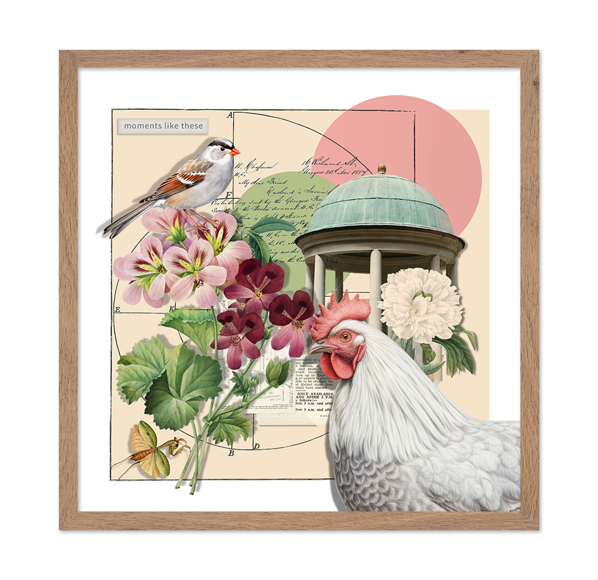 Summer Garden Collage