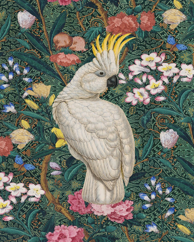 Cockatoo Garden Pattern