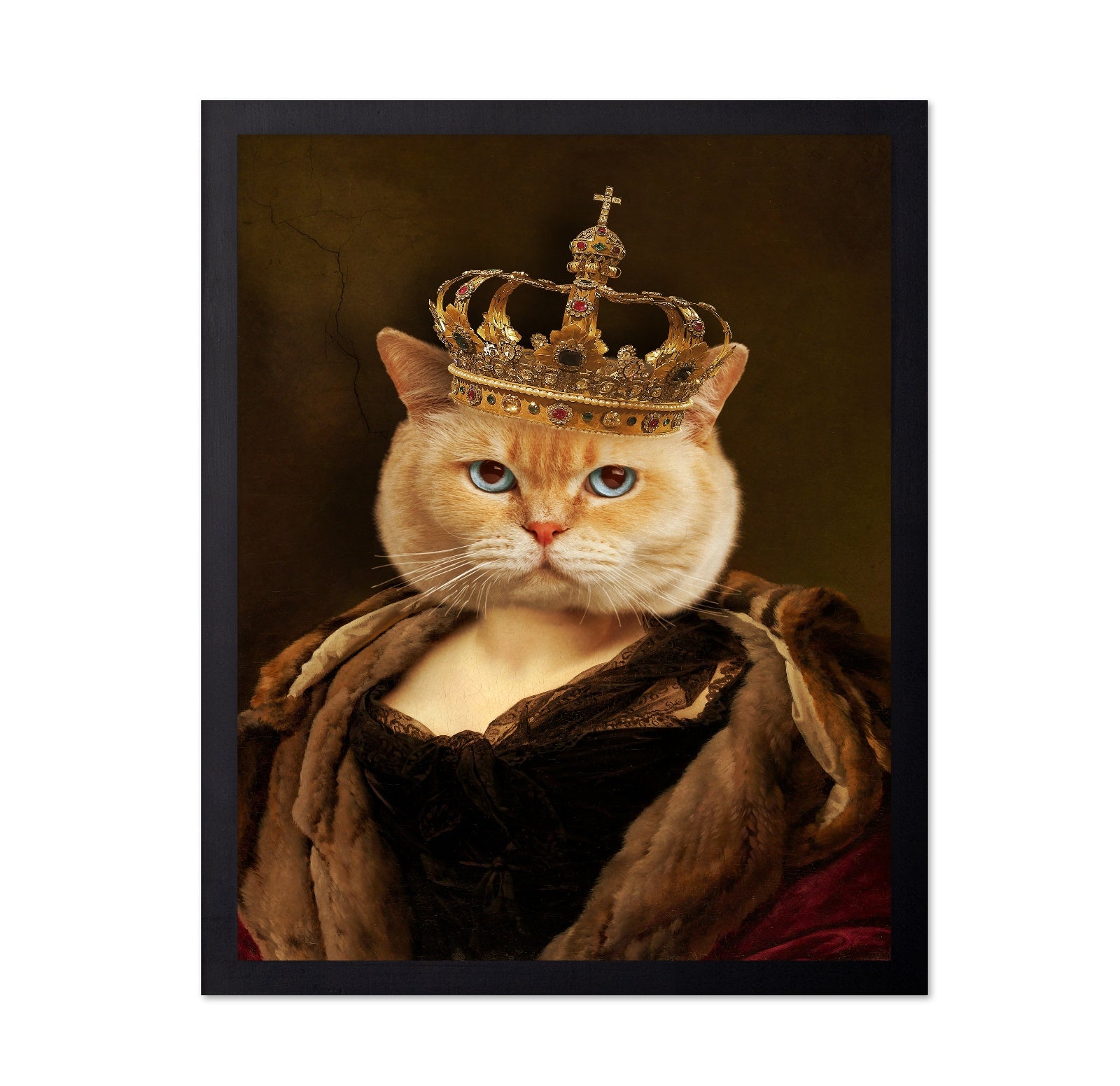 Regal Cat Portrait
