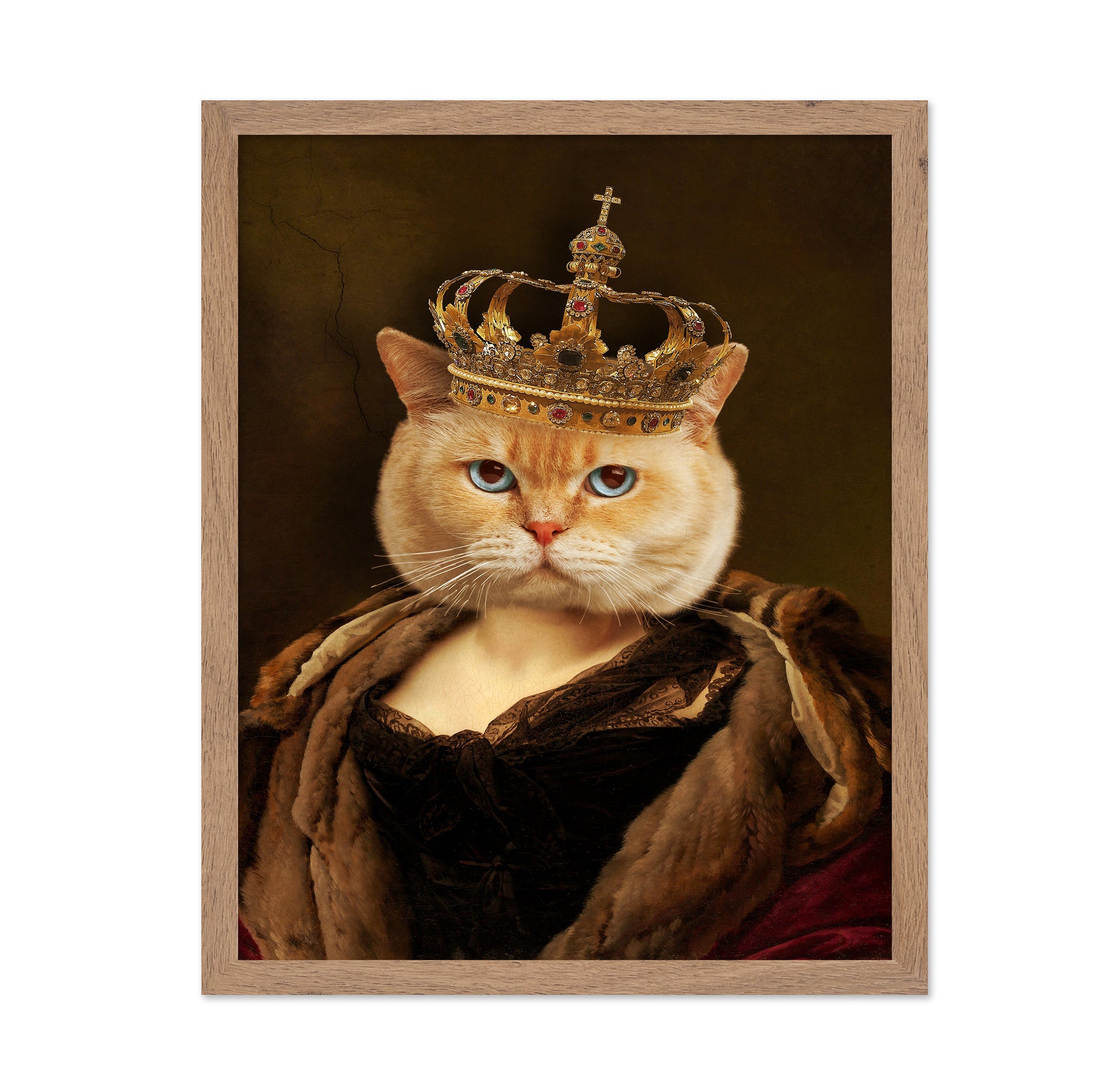 Regal Cat Portrait
