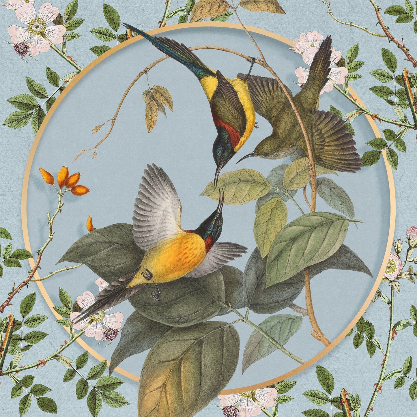Hummingbird Harmony
