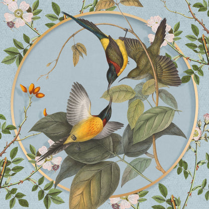 Hummingbird Harmony