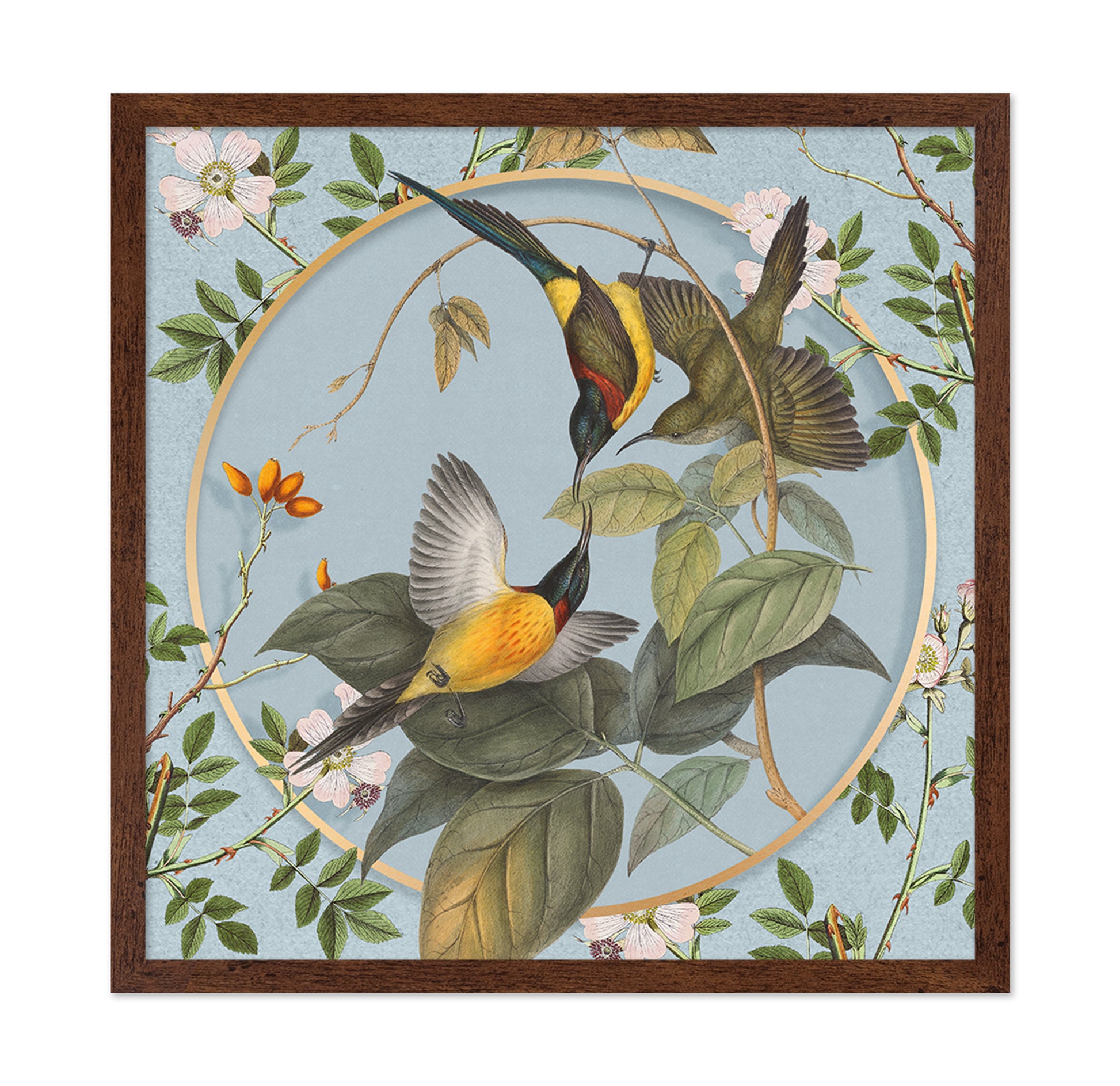 Hummingbird Harmony