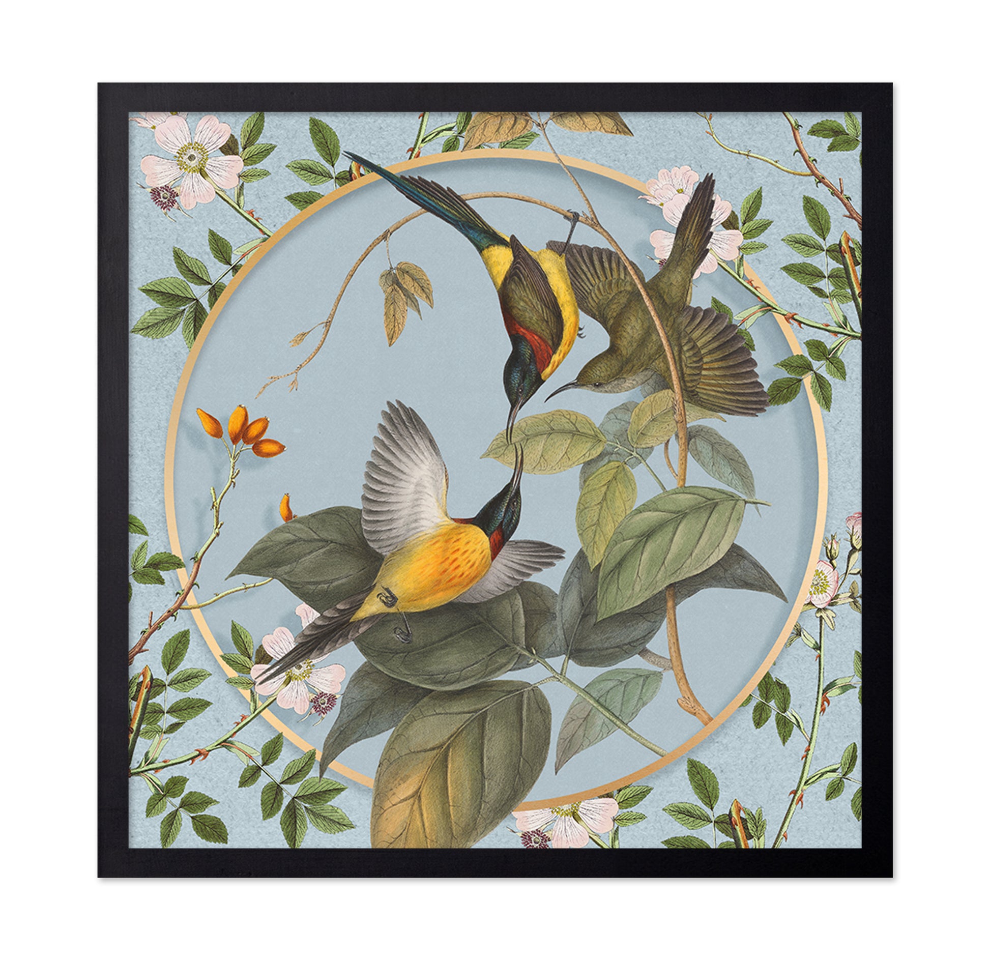 Hummingbird Harmony