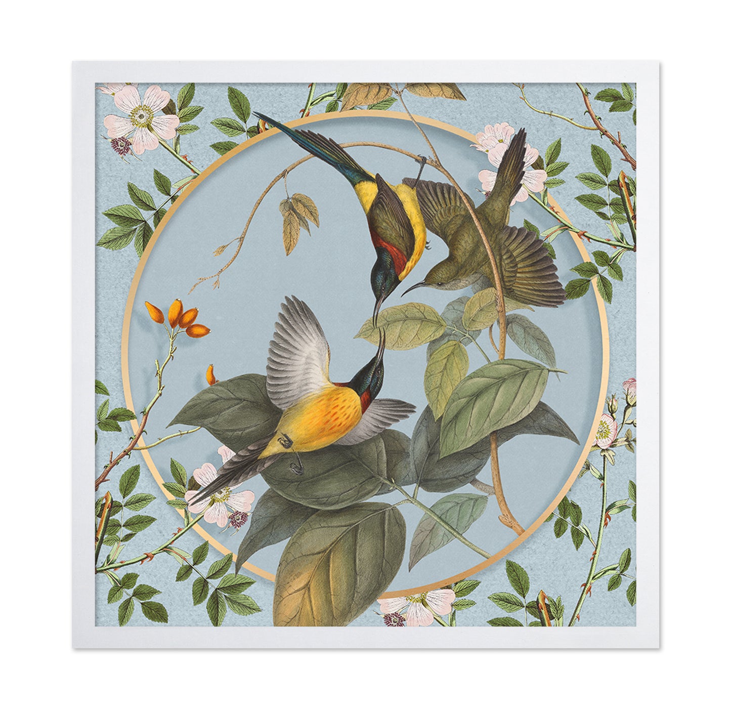 Hummingbird Harmony