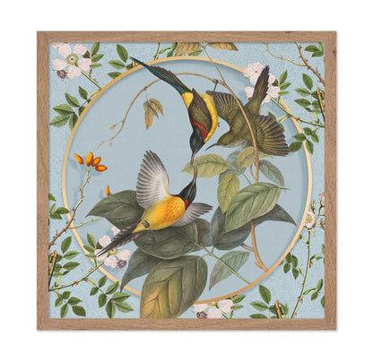 Hummingbird Harmony