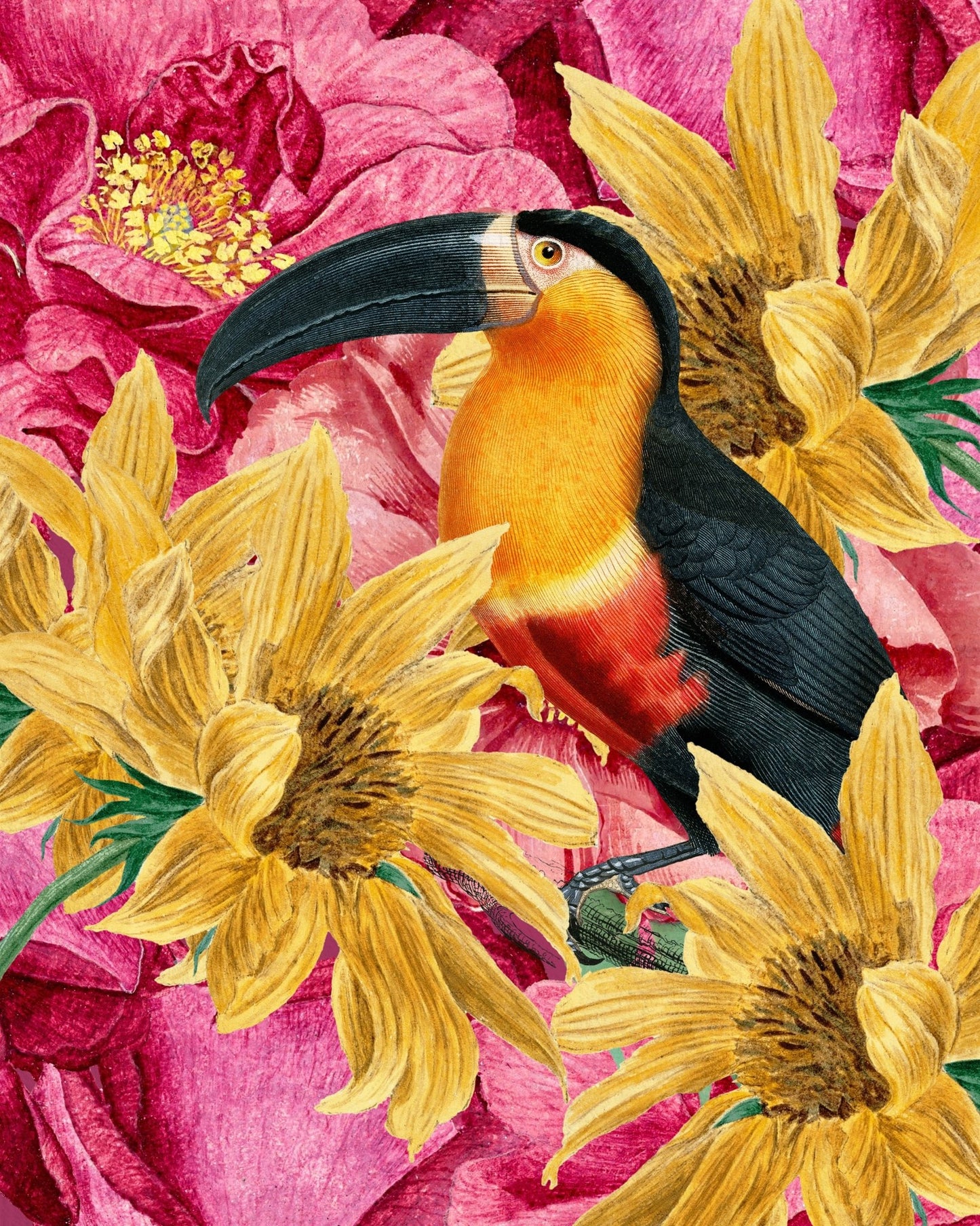 Toucan Floral Garden