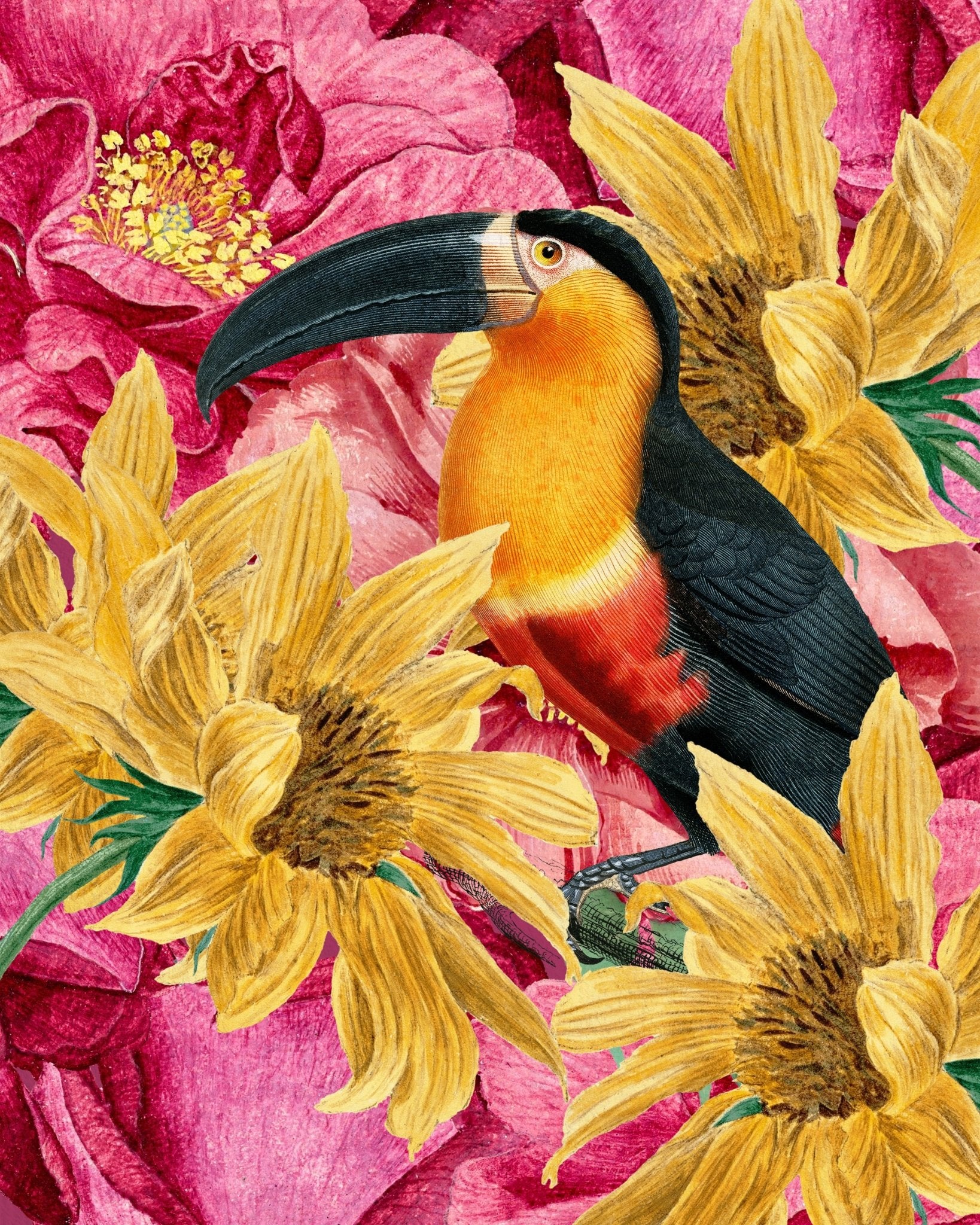 Toucan Floral Garden