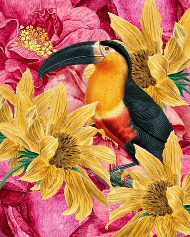 Toucan Floral Garden