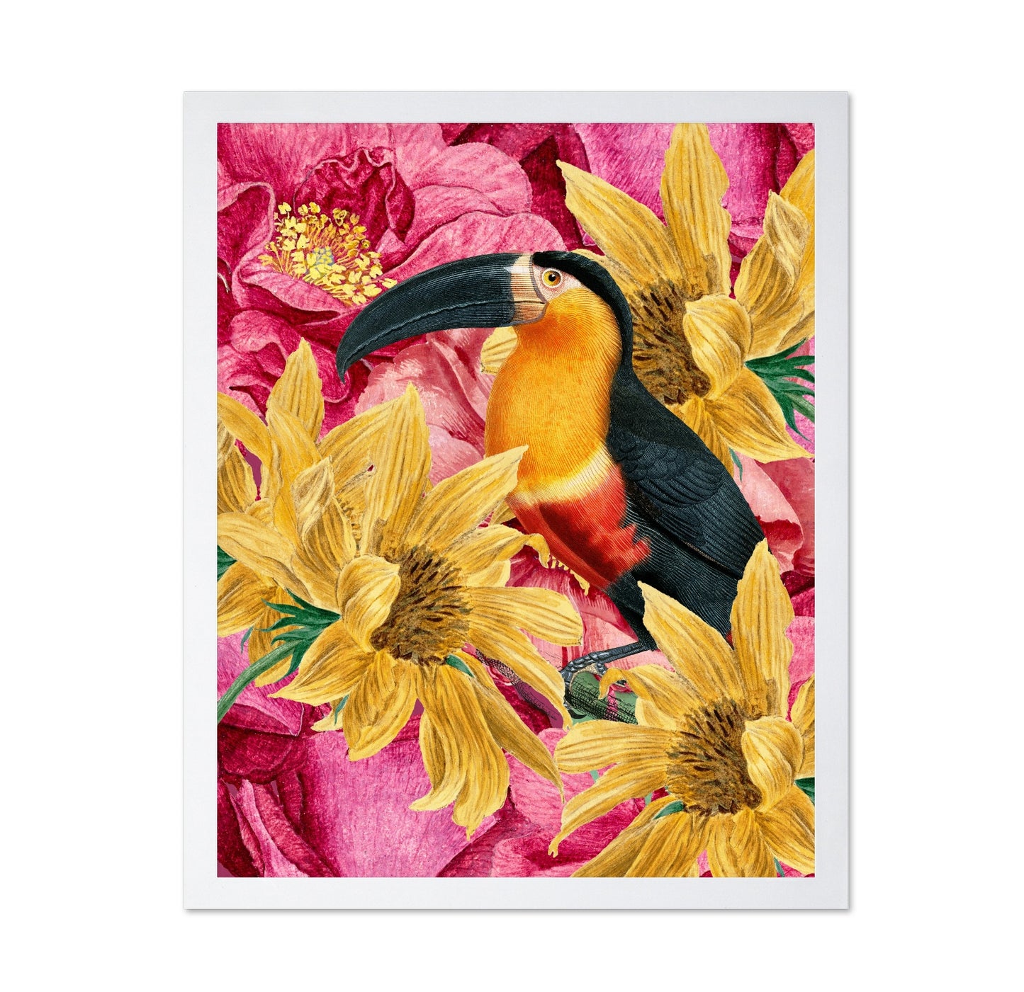Toucan Floral Garden