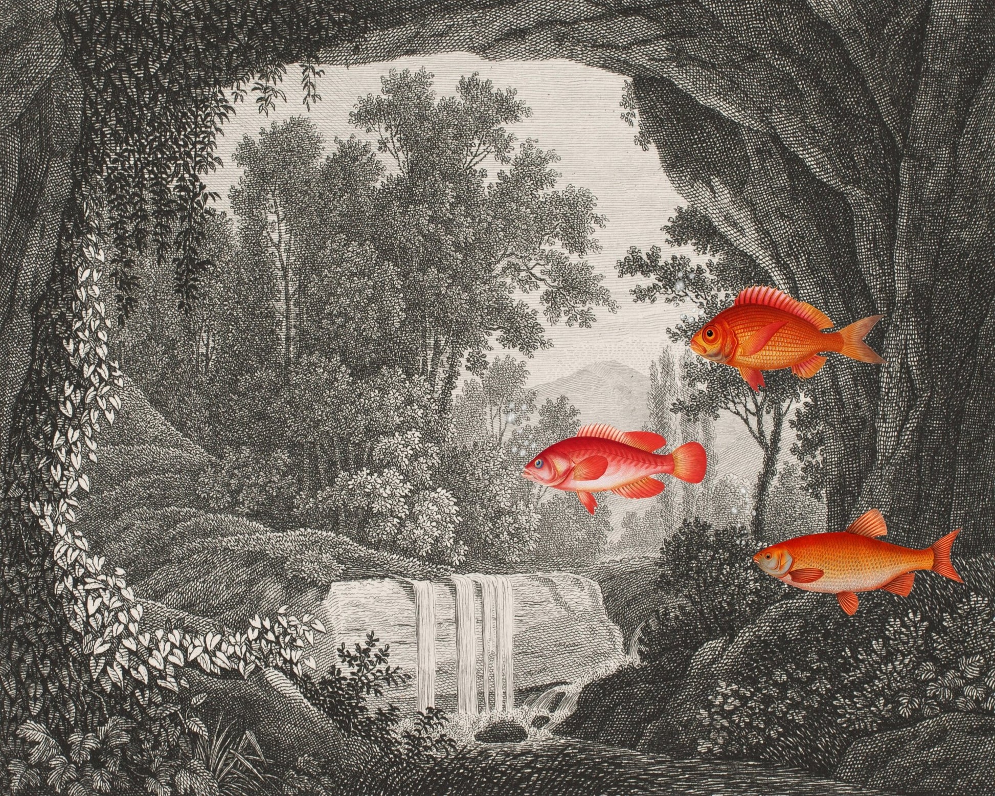 Fish In Forest Scene