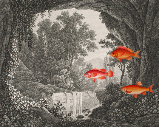 Fish In Forest Scene