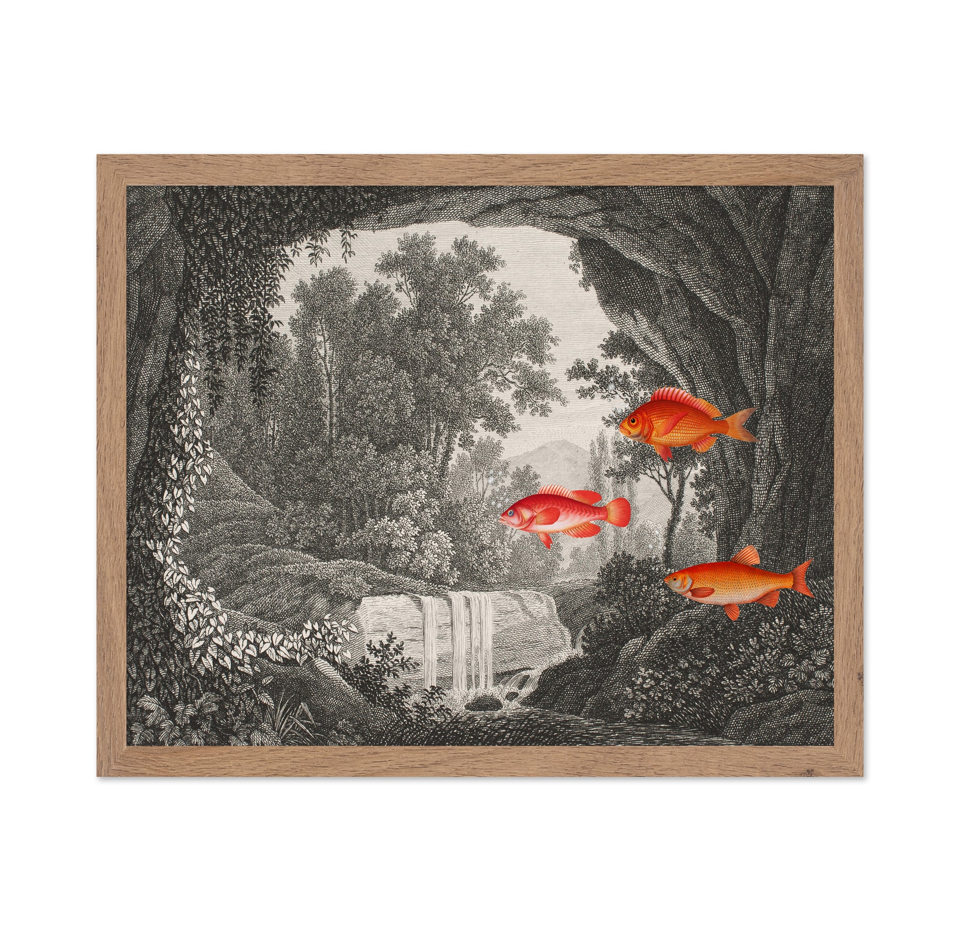 Fish In Forest Scene