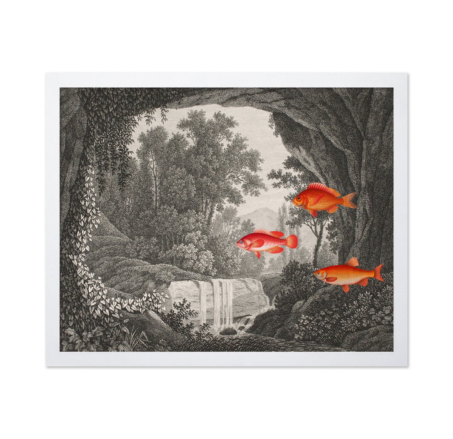 Fish In Forest Scene