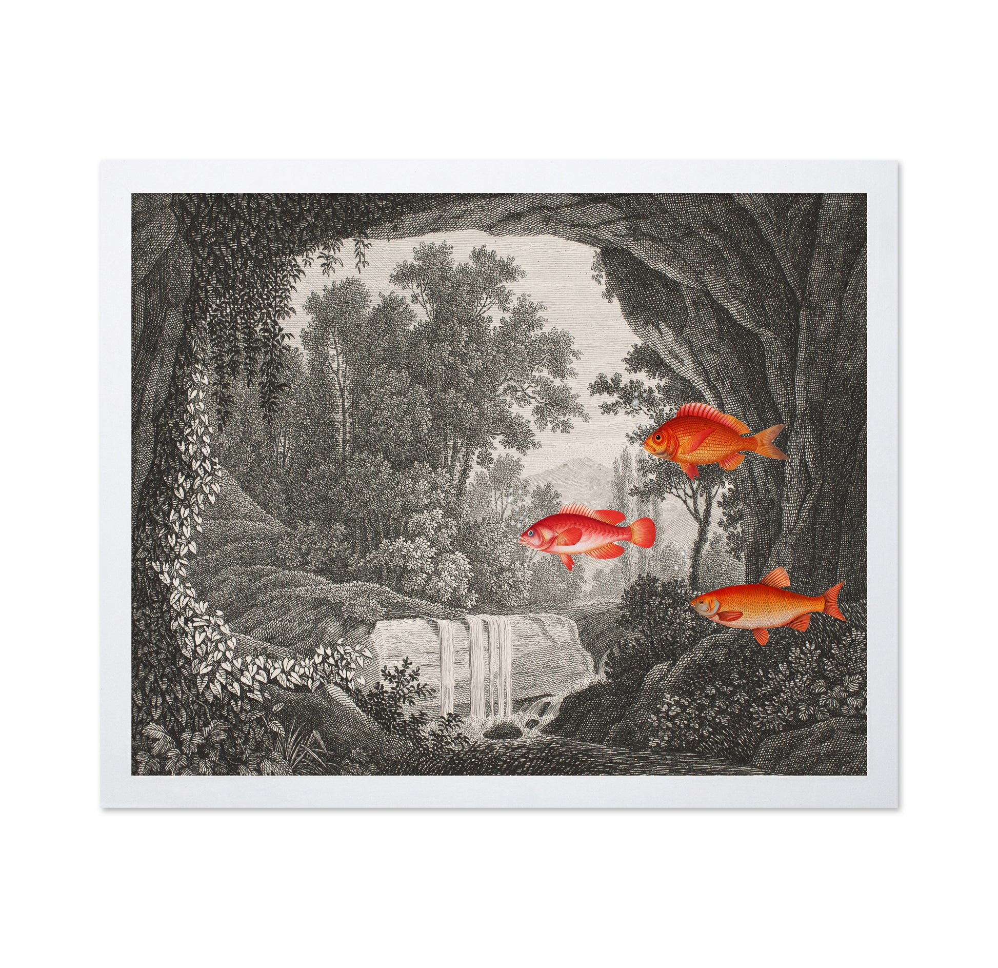 Fish In Forest Scene