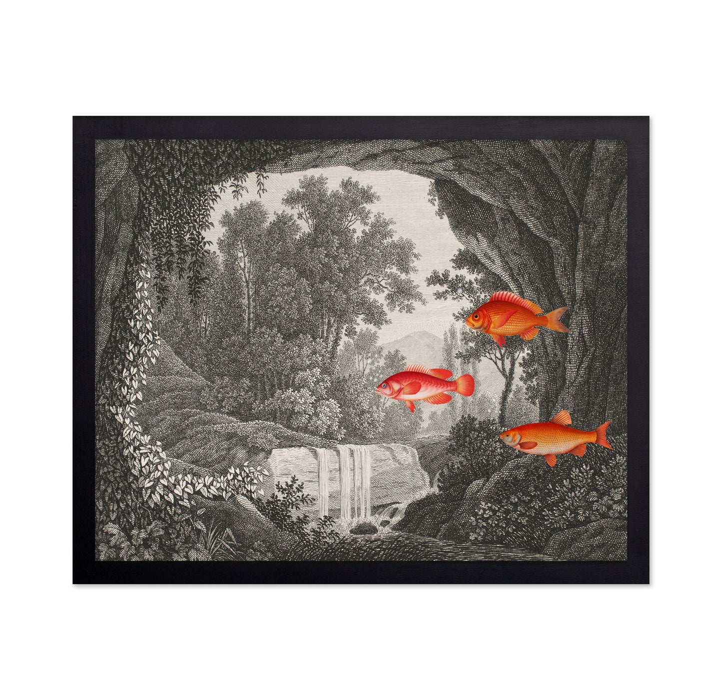 Fish In Forest Scene