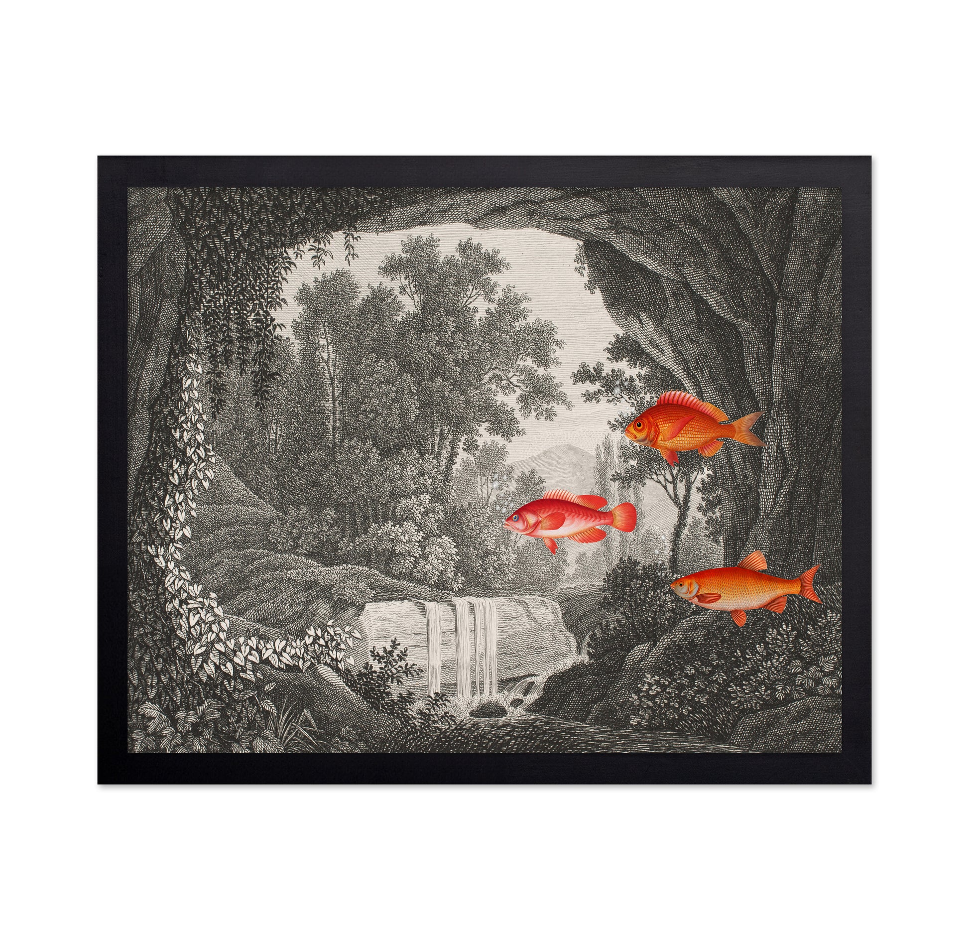 Fish In Forest Scene