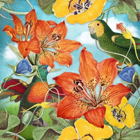 Vibrant Parrot Garden