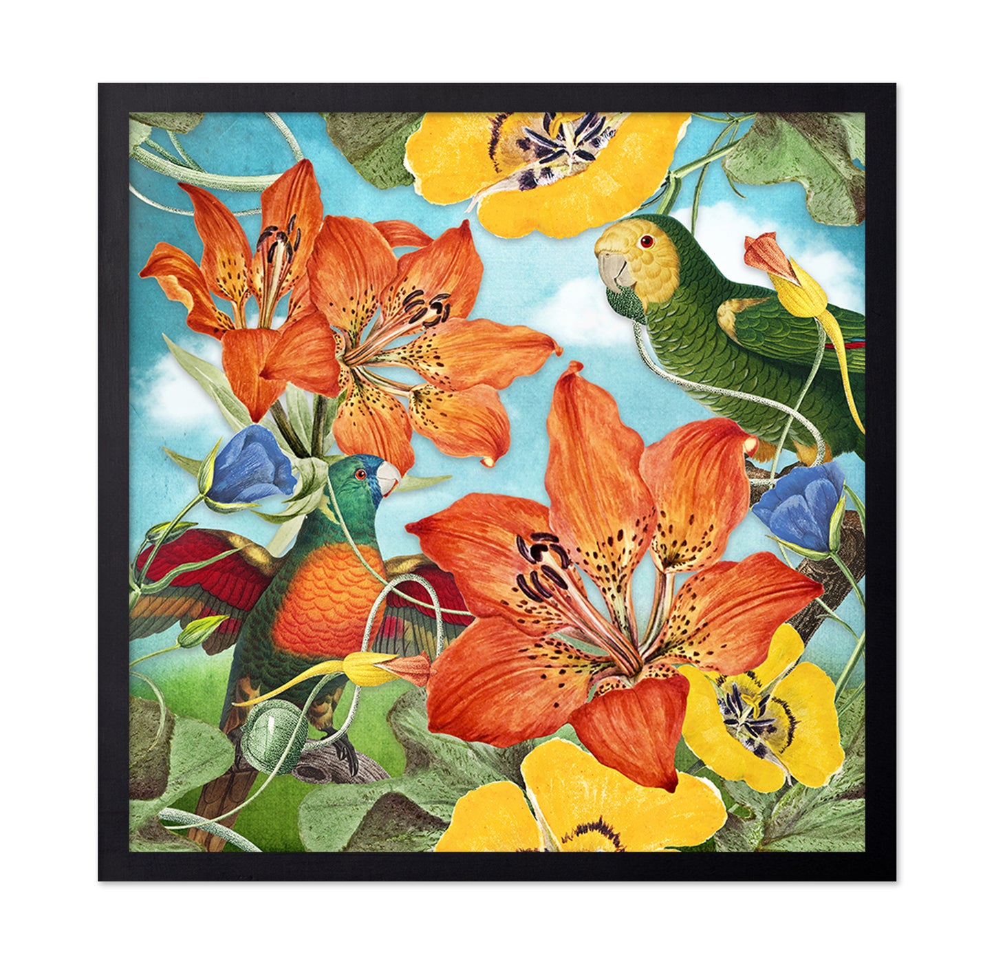 Vibrant Parrot Garden