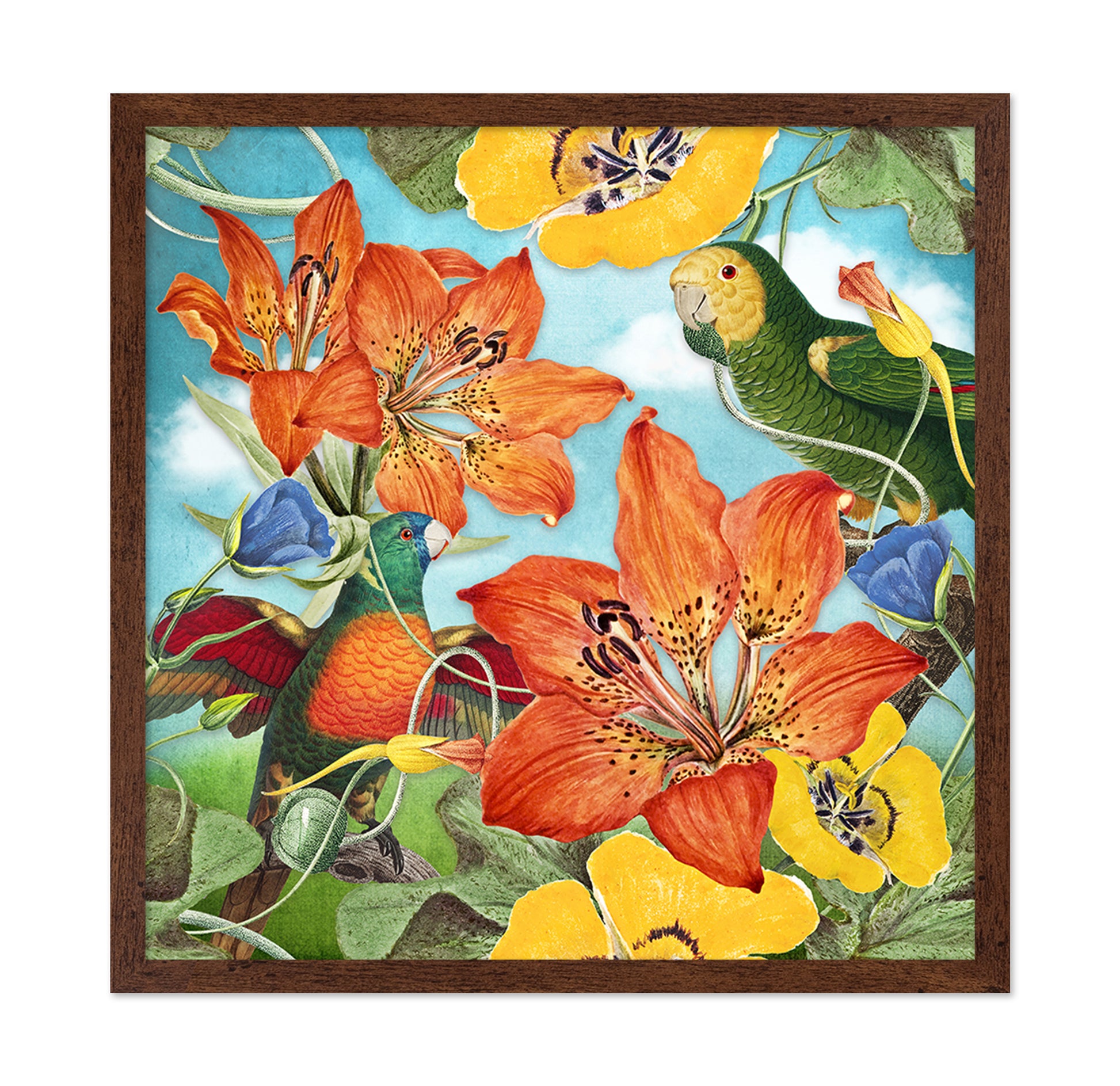 Vibrant Parrot Garden