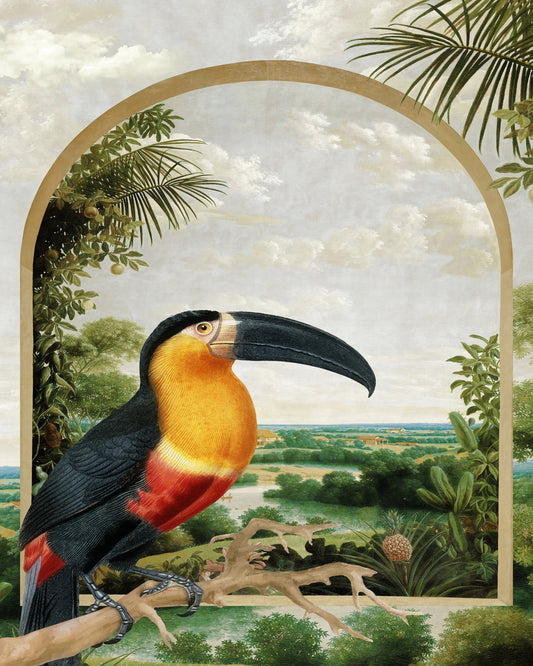 Toucan Tropical View