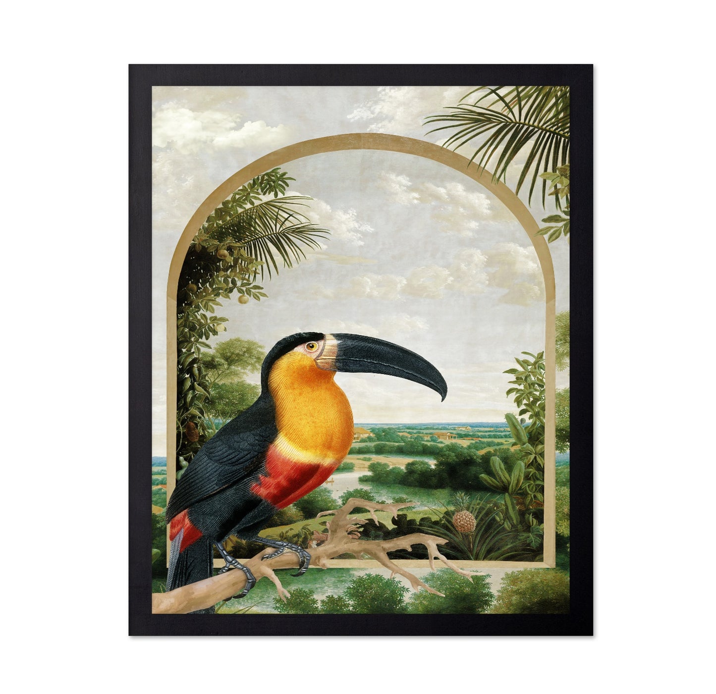 Toucan Tropical View