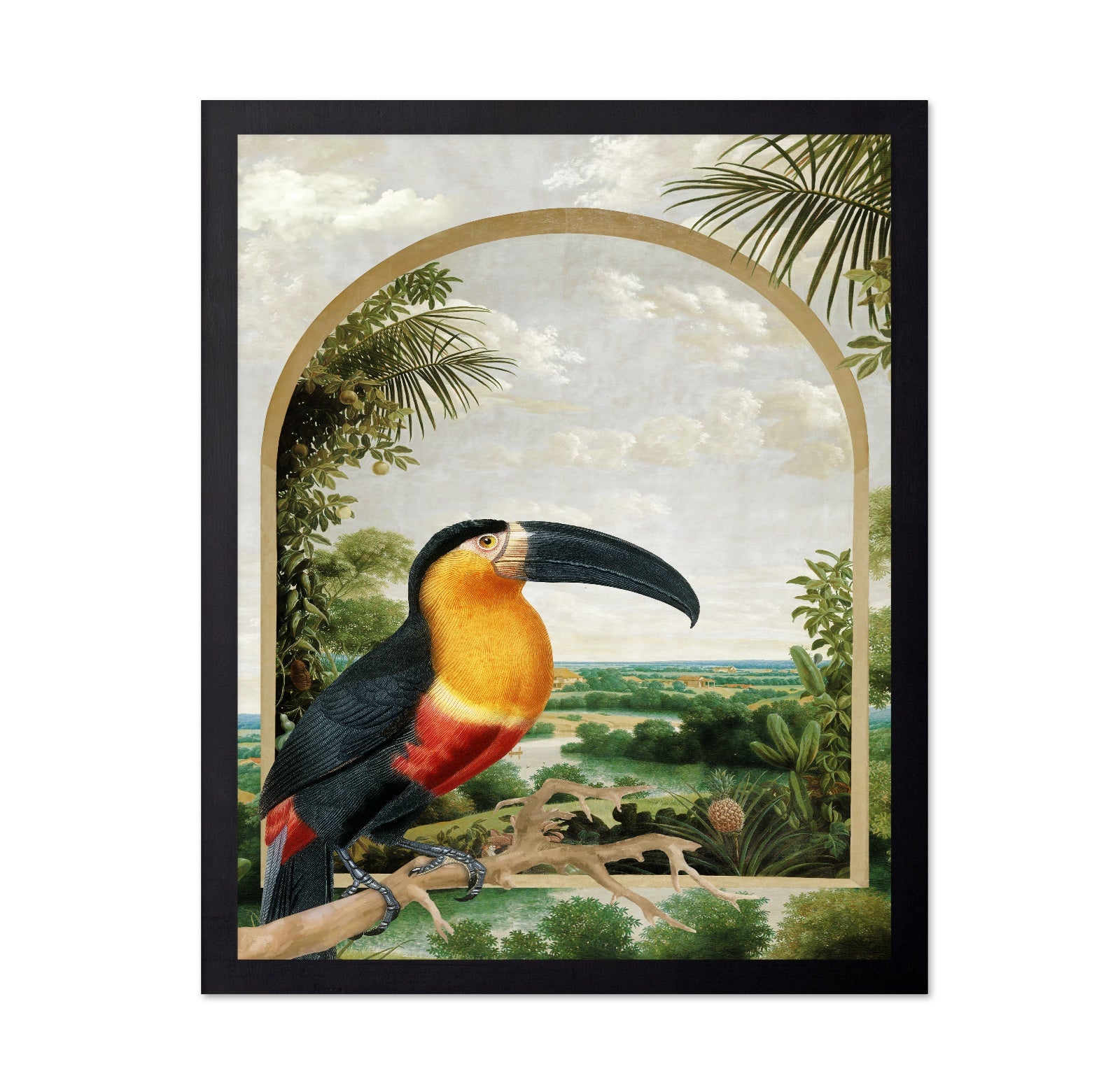 Toucan Tropical View
