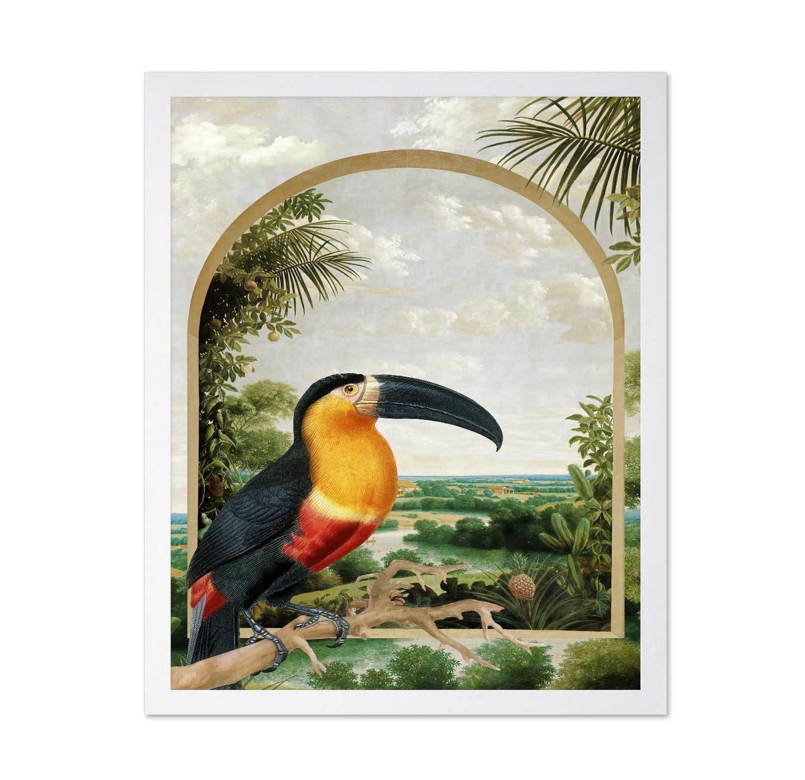 Toucan Tropical View