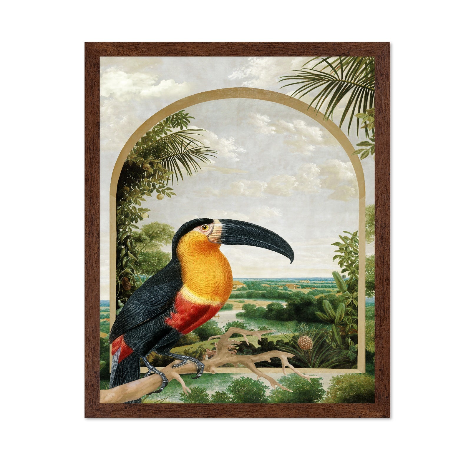 Toucan Tropical View