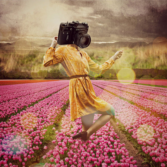 Camera Head In Tulips