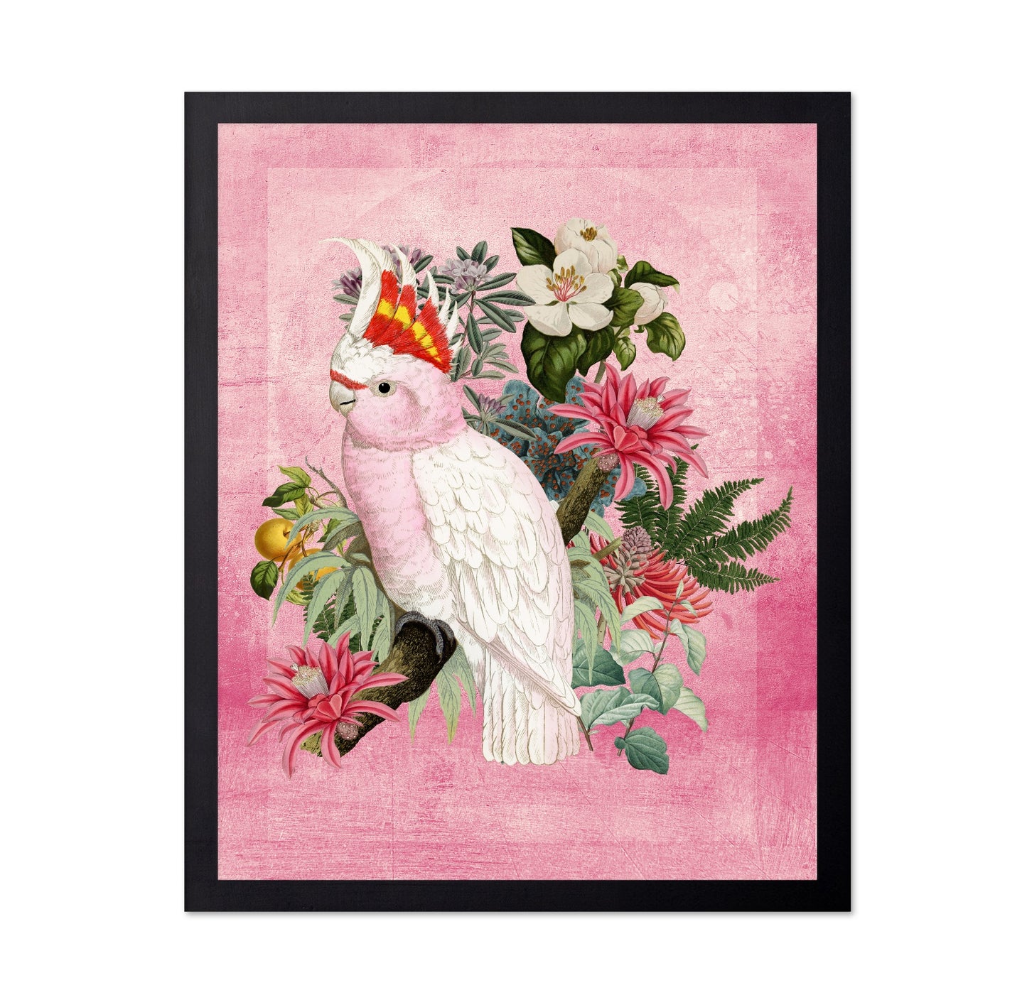 Pink Cockatoo Bloom