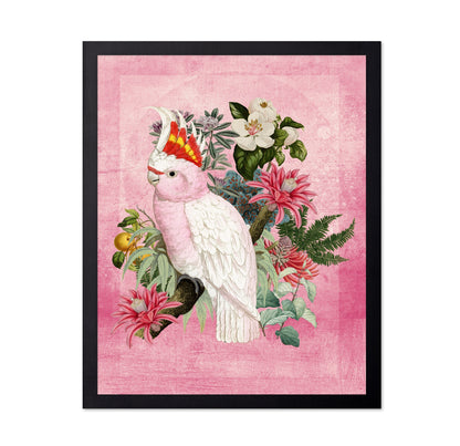 Pink Cockatoo Bloom