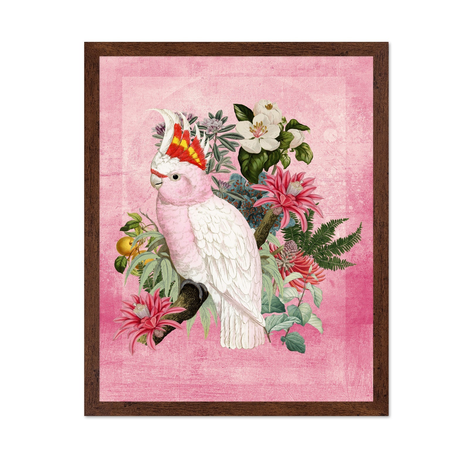 Pink Cockatoo Bloom