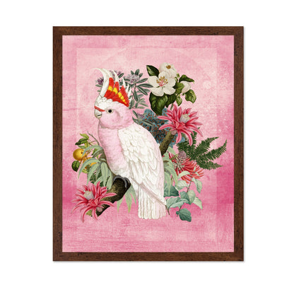 Pink Cockatoo Bloom