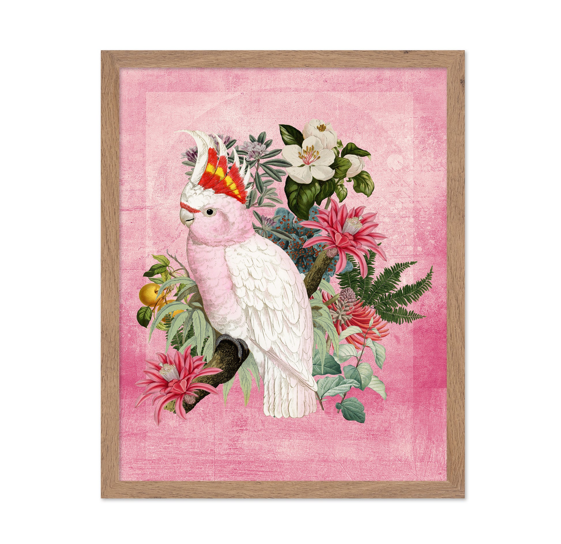 Pink Cockatoo Bloom