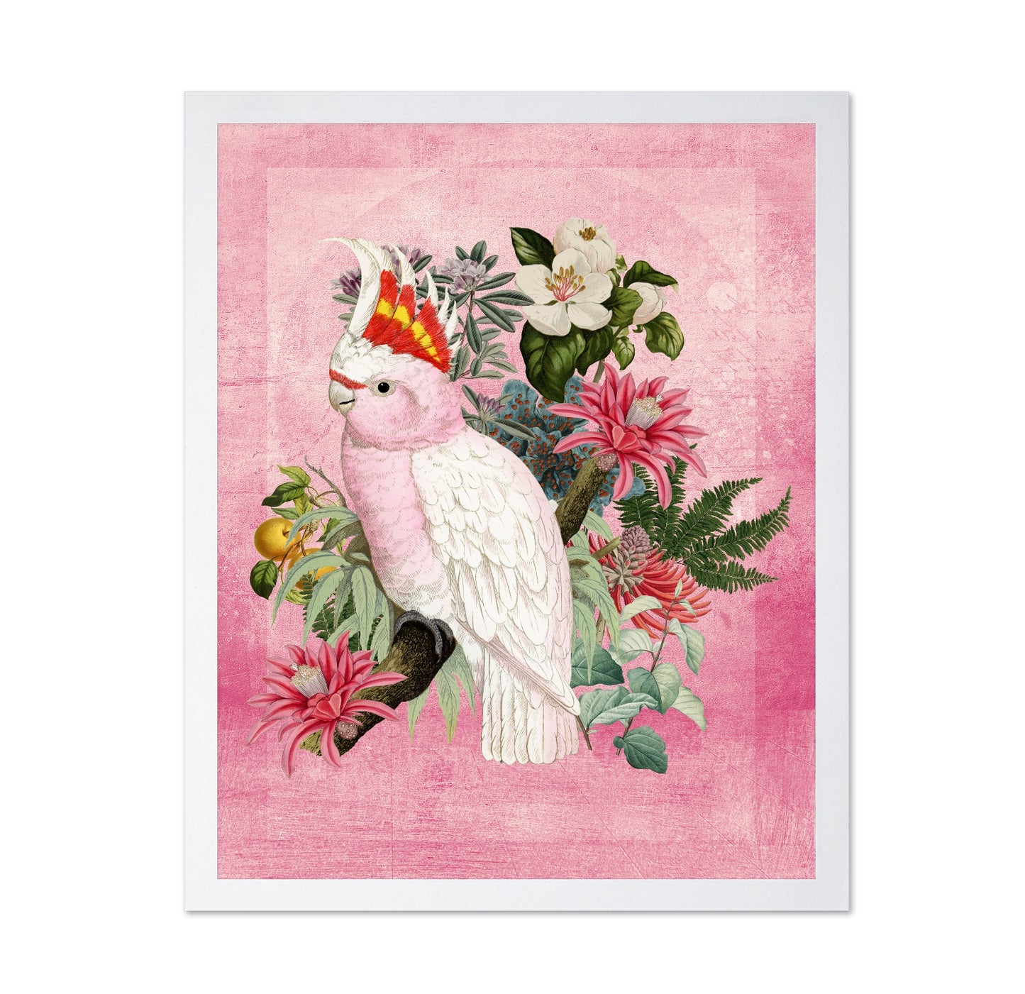 Pink Cockatoo Bloom
