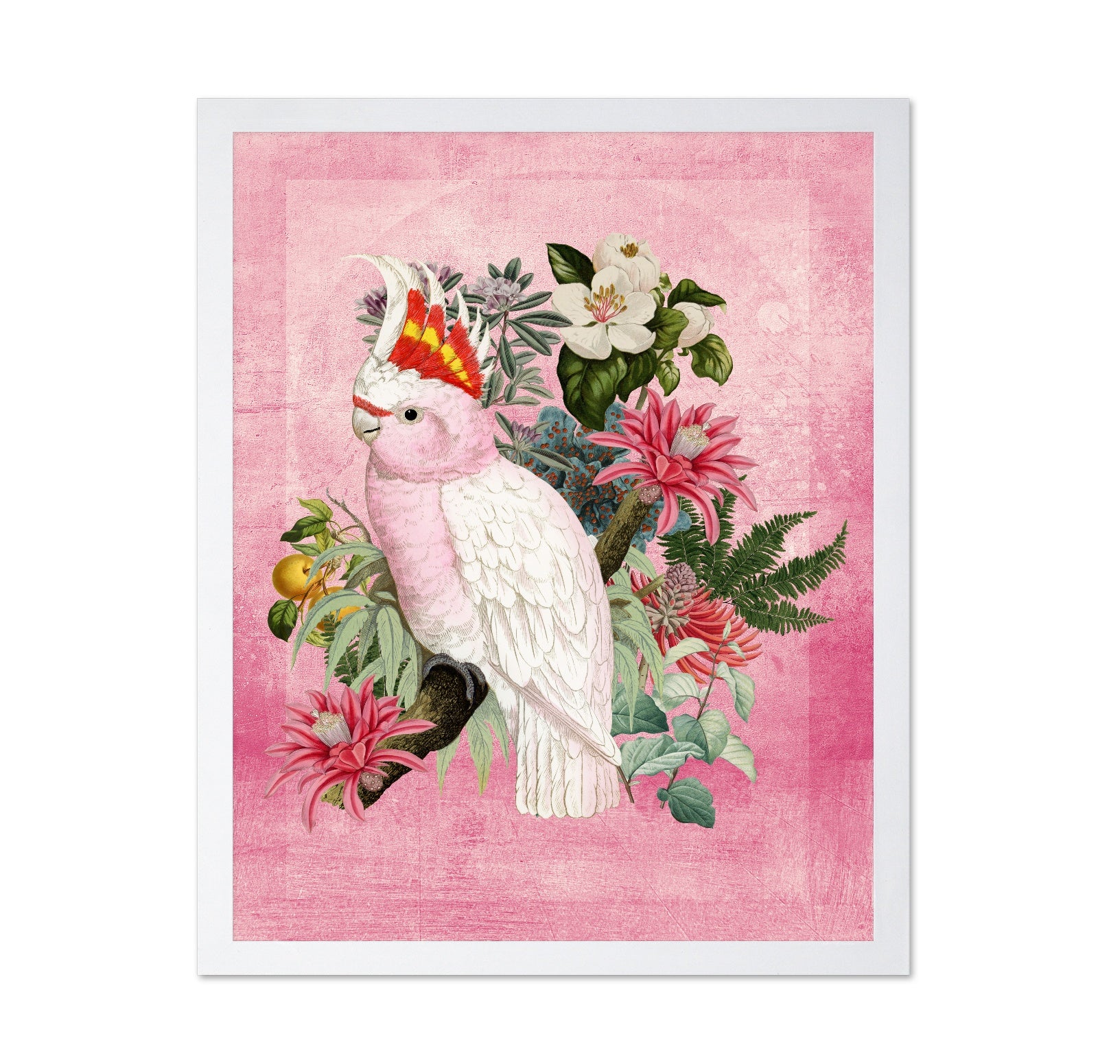 Pink Cockatoo Bloom
