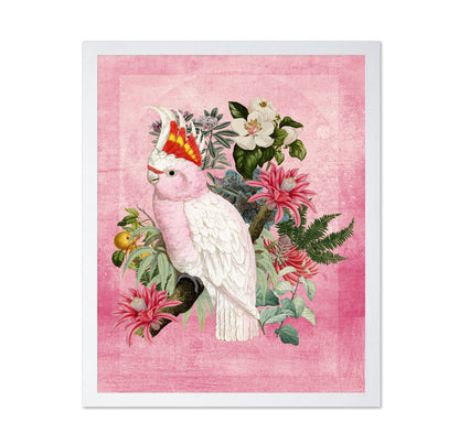 Pink Cockatoo Bloom