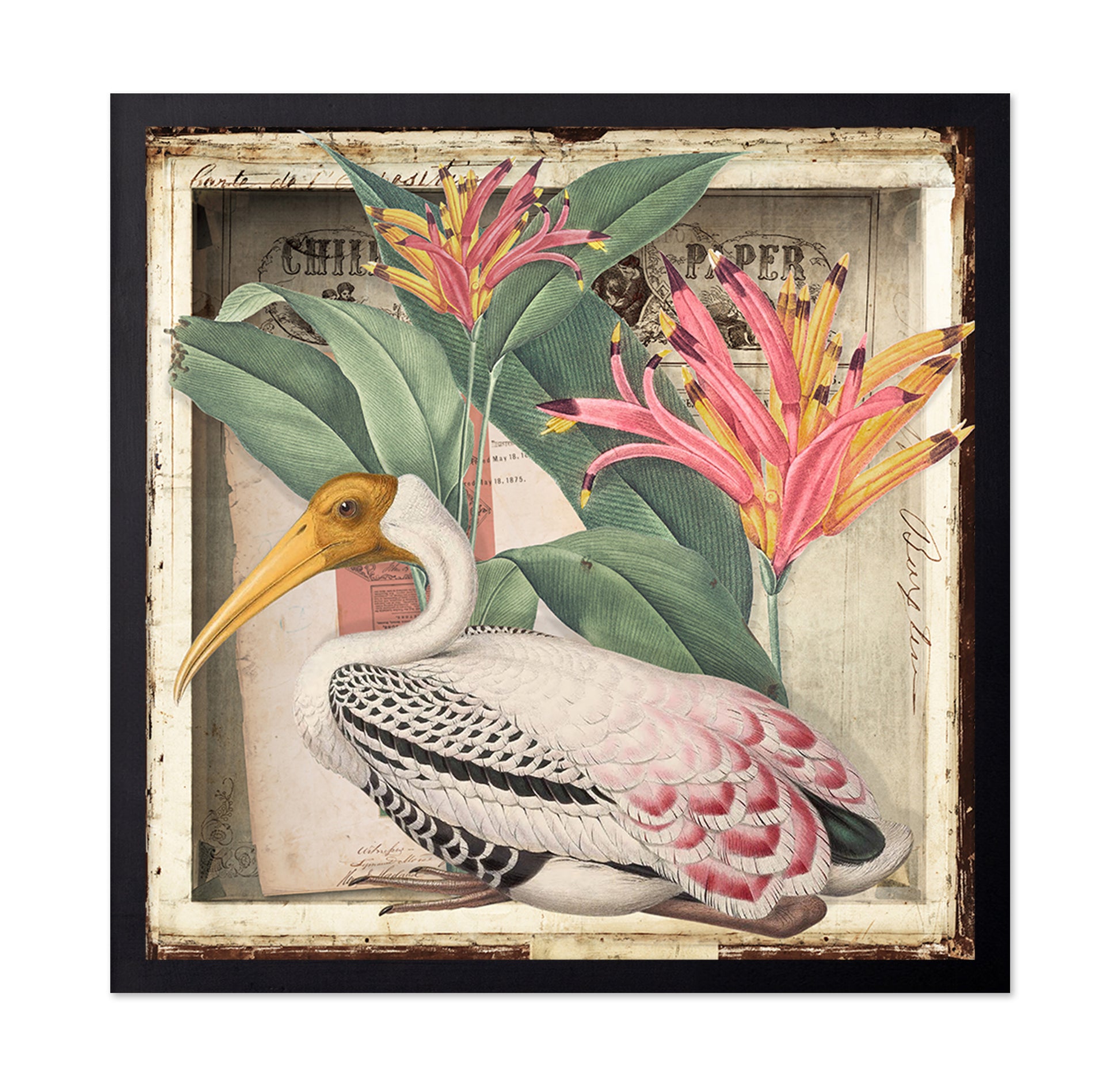 Vintage Heron Collage