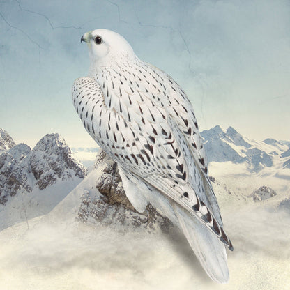 Snowy Falcon Peaks