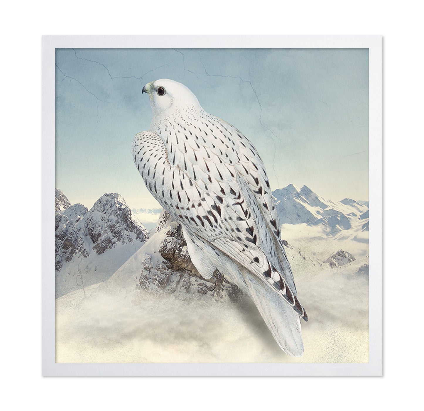 Snowy Falcon Peaks